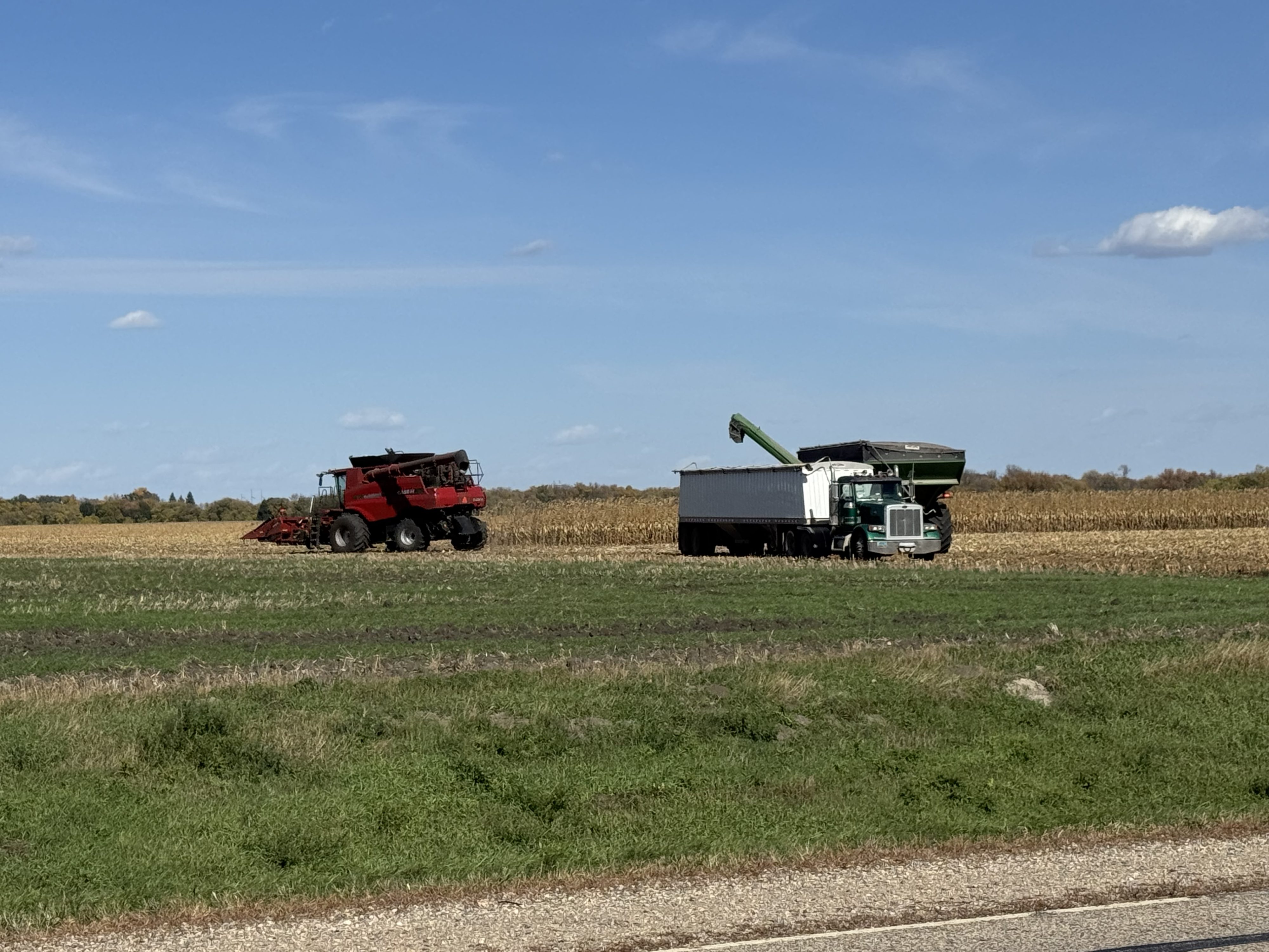 USDA announces record 2025 crop year safety net program payments — KFGO, Larimore Community news